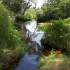 Kanutrip Naturreservat Sporting Lake_16